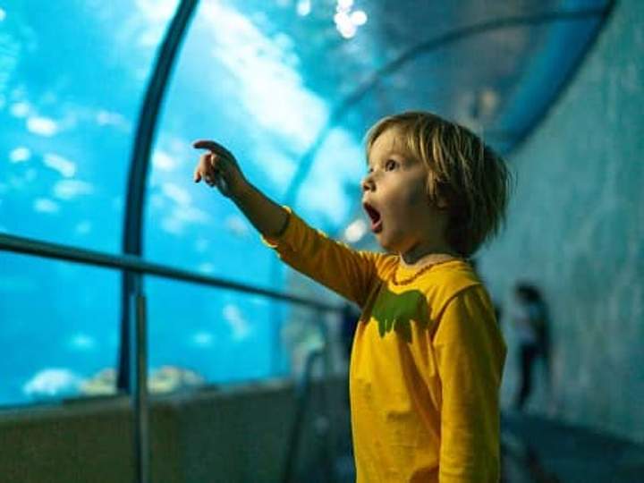 Incredible vs Incredulous What is the Difference? Merriamster